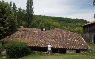 Démoussage de toiture